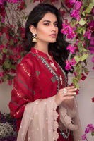 Picture of Nargis kalidaar crimson