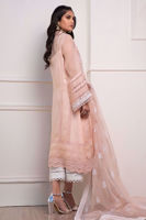 Picture of Monticello peach