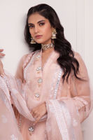 Picture of Monticello peach