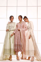 Picture of Belladonna