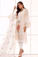 Picture of Peach pansy