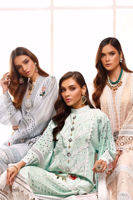 Picture of Peach pansy