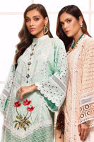 Picture of Peach pansy