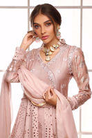 Picture of Belladonna