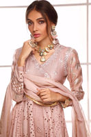 Picture of Belladonna