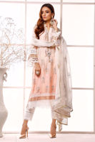 Picture of Coral senna