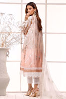 Picture of Coral senna