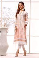 Picture of Coral senna