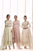 Picture of Belladonna