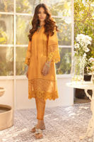 Picture of Sunflower