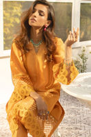 Picture of Sunflower