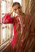 Picture of Soul Scarlet