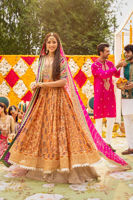 Picture of Tabeer Kalidar