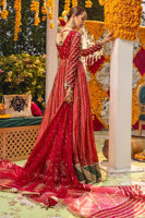 Picture of Midhat Peshwas