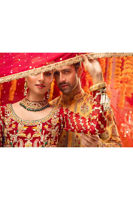 Picture of Midhat Peshwas