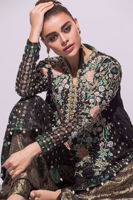 Picture of Black Swan