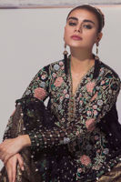 Picture of Black Swan