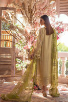 Picture of Ismaya Seagrass