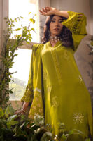 Picture of Afsaneh Fern - Shirt and Dupatta