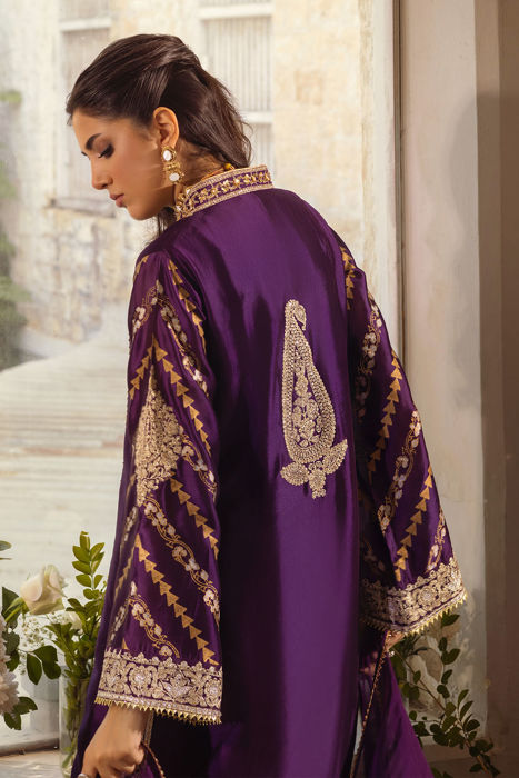 Visaal aubergine - shirt and dupatta