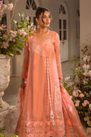 Picture of Zemira apricot - shirt and pants