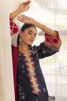 Picture of Banira - Shirt and Dupatta