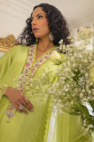 Picture of Rayla Kiwi Green - Plain dupatta