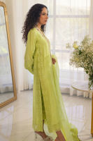 Picture of Rayla Kiwi Green - Plain dupatta
