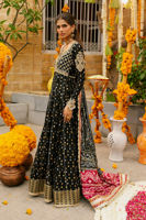 Picture of Mehmil Kalidar