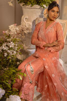 Picture of Zemira apricot