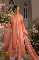 Picture of Zemira apricot