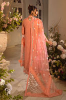 Picture of Zemira apricot