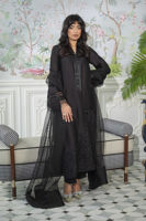 Picture of Lainey Black - Shirt, Pants And Dupatta