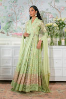 Picture of Nadi Mint - Angharka and Dupatta