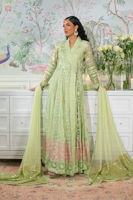 Picture of Nadi Mint - Angharka and Dupatta