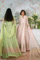 Picture of Nadi Blush - Angharka and Dupatta