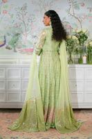 Picture of Nadi Mint - Angharka and Dupatta