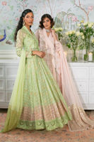 Picture of Nadi Mint - Angharka and Dupatta