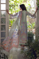 Picture of Jaana (Shirt, Pants and Dupatta)