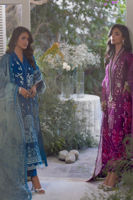 Picture of Aafah (Shirt and Pants)