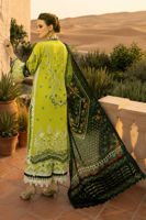 Picture of Rutaba