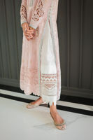Picture of Pari