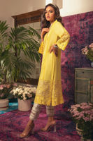 Picture of Freesia