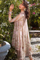 Picture of Dusty Rose