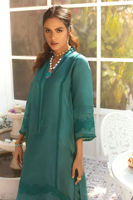 Picture of Haya