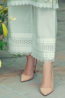 Picture of Freesia