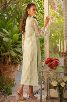 Picture of Ayat
