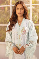 Picture of Falak